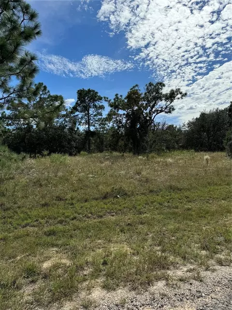 3358 W Nieman Dr, Dunnellon, FL 34433