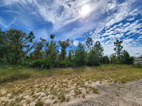 3336 W Nieman Dr, Dunnellon, FL 34433