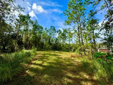 11518 Rambling Oak Blvd, Orlando, FL 32832