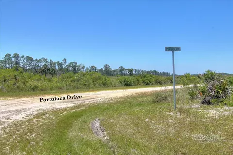 Portulaca Drive, Indian Lake Estates, FL 33855