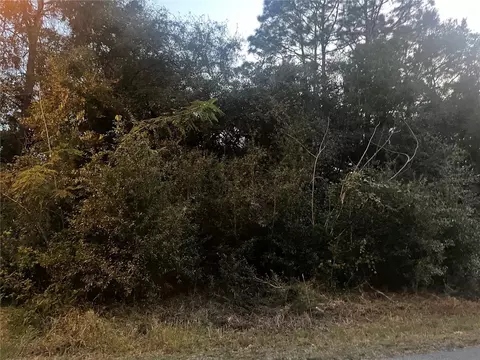 0 NW 19th Ln, Ocala, FL 34482