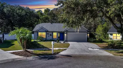 10106 Pink Carnation Ct, Orlando, FL 32825