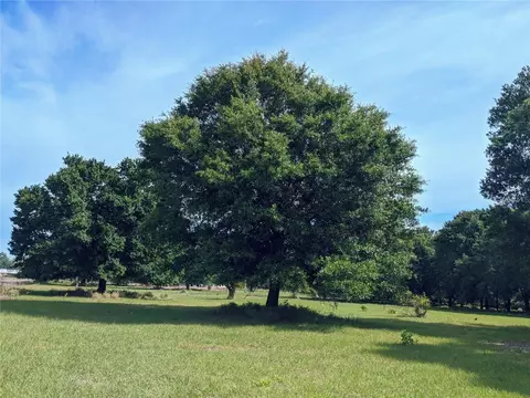 Tucker Avenue, Saint Cloud, FL 34772