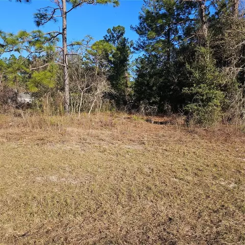 Undisclosed, Ocala, FL 34476