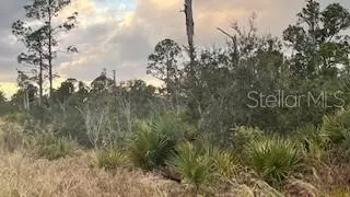 215 Vireo Ave, Sebring, FL 33870