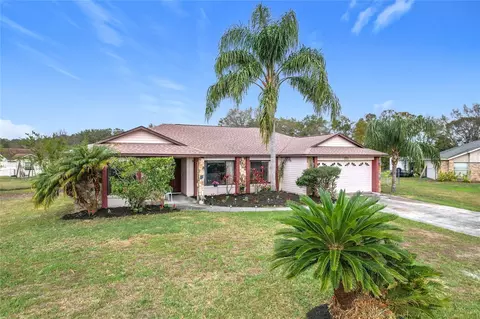 3039 China Berry Ct, Kissimmee, FL 34746