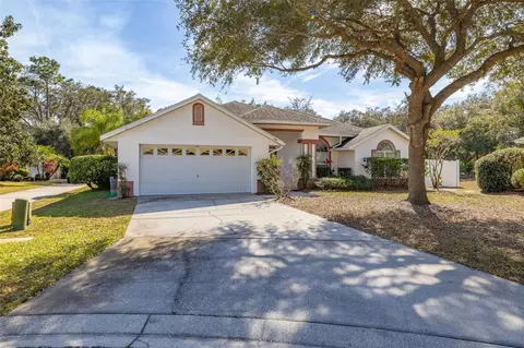 248 Breezy Oaks Ct, Davenport, FL 33896
