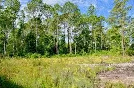 1347 East Pkwy, Deland, FL 32724