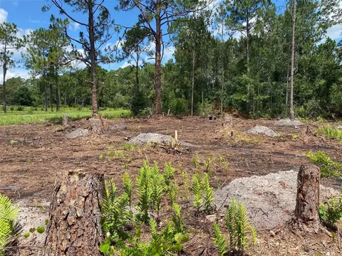2101 W Frostproof Rd, Frostproof, FL 33843