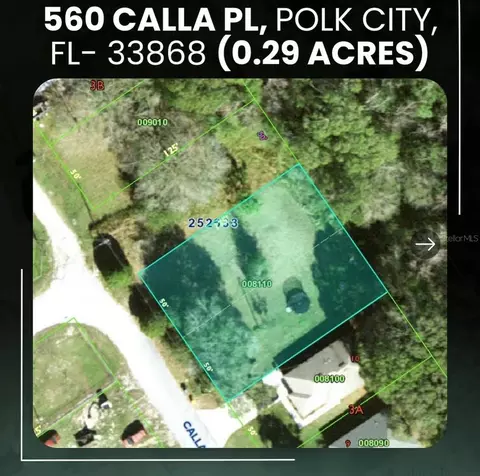 560 Calla Pl, Polk City, FL 33868