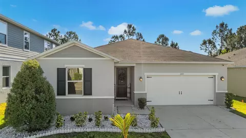 1153 Augustus Dr, Davenport, FL 33896