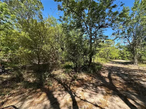 268 Spoonbill Dr, Kissimmee, FL 34759