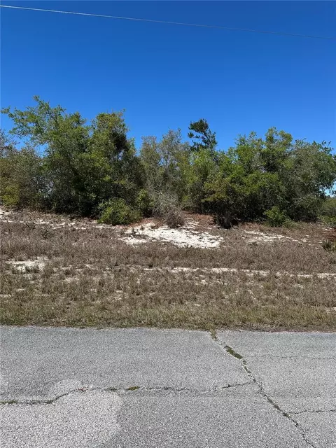 1386 Homosassa Dr, Kissimmee, FL 34759