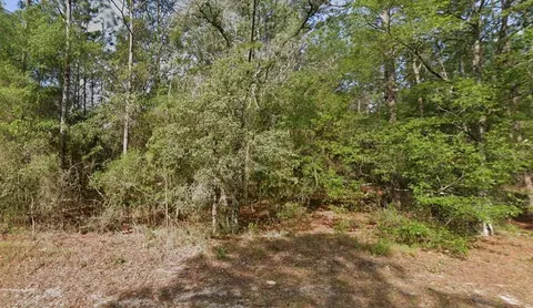 9572 N Sandree Dr, Citrus Springs, FL 34434
