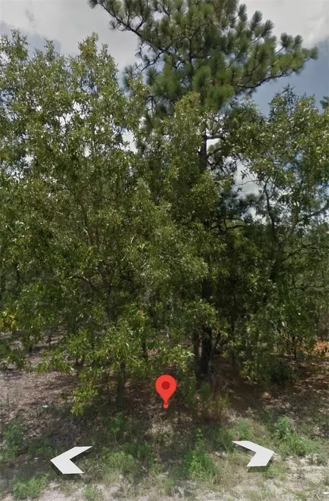 12 Spring Pl, Ocala, FL 34472 photo 1