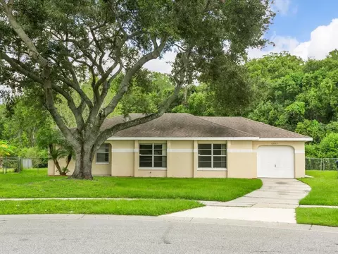 12513 Indiana Woods Ln, Orlando, FL 32824