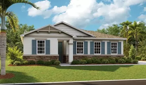 1003 Cloud Ridge Ct, Mount Dora, FL 32757