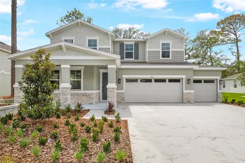 1067 Cloud Ridge Ct, Mount Dora, FL 32757