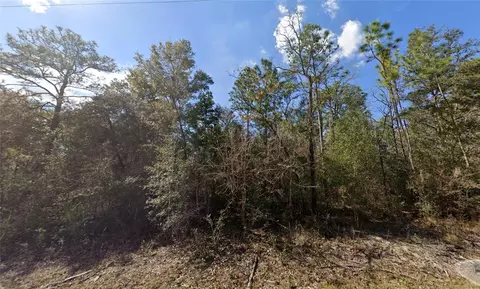 0 Canyon Swallow Rd #LOT 5, Brooksville, FL 34614