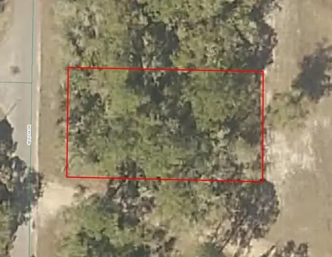 Sequoia Drive, Ocklawaha, FL 32179