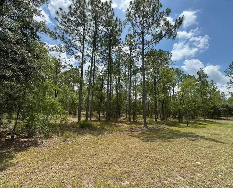 lot15 SW Neptune Blvd, Dunnellon, FL 34431
