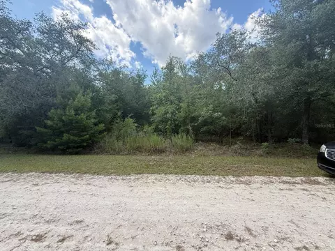 tbd 98th St, Dunnellon, FL 34432