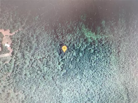 Holopaw Groves Road, Saint Cloud, FL 34771