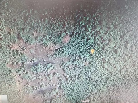 Holopaw Groves Road, Saint Cloud, FL 34771