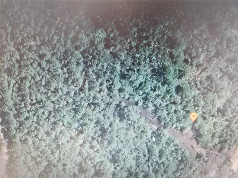 Holopaw Groves Road, Saint Cloud, FL 34771