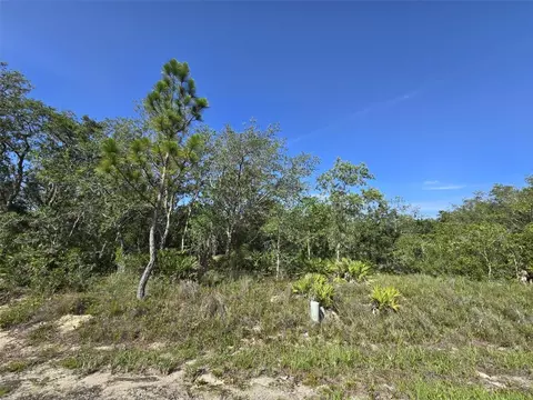 112 Tench Dr, Kissimmee, FL 34759