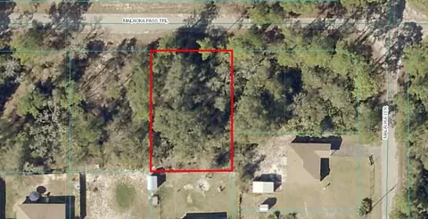 Malauka Pass Trail, Ocklawaha, FL 32179