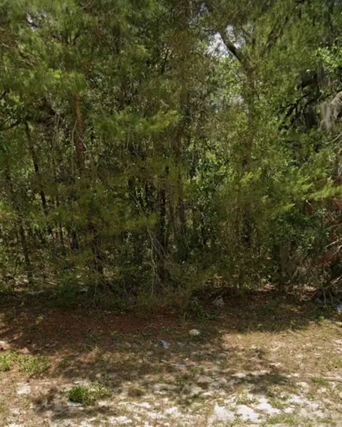 tbd SW 81st Ave, Ocala, FL 34473