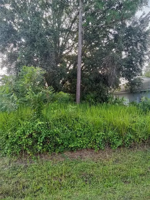 Maricopa Drive, Kissimmee, FL 34758