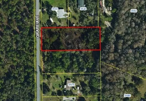 Grape Avenue, Okeechobee, FL 34972