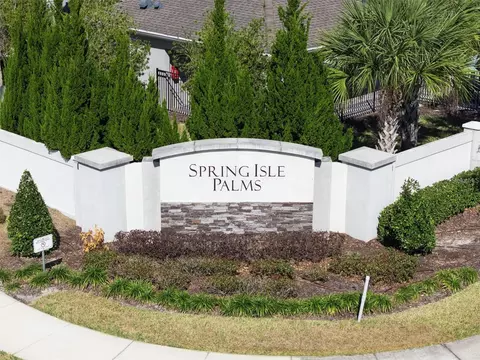 View/Area - 1005 Spring Palms Loop, Orlando, FL 32828 photo 1 of 2