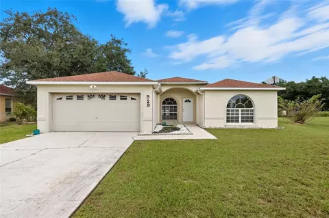 529 Finch Ct, Kissimmee, FL 34759