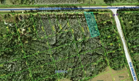 Deen Still Road, Polk City, FL 33868