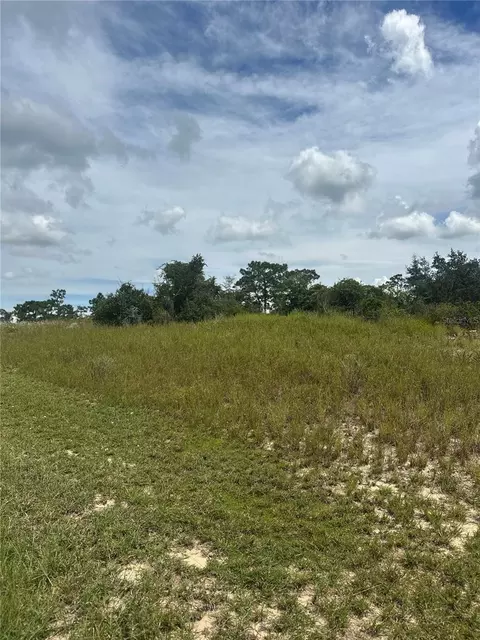 1348 Homosassa Ct, Kissimmee, FL 34759