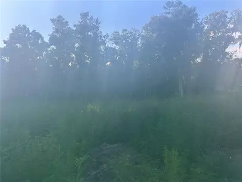 00 SE 140th Pl, Summerfield, FL 34491