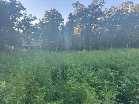 140 Th Pl SE, Summerfield, FL 34491