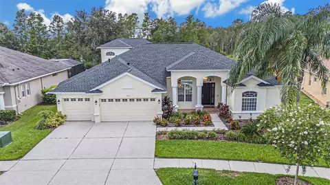 2919 Marble Crest Dr, Land O Lakes, FL 34638