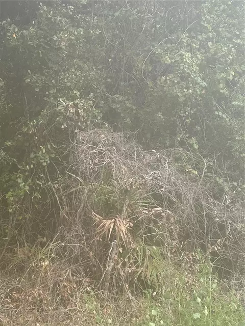 SE 105 Place, Ocklawaha, FL 32179