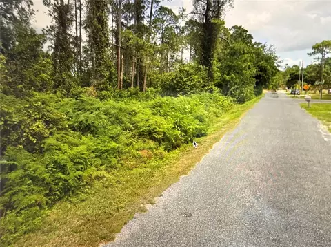 Fig Leaf Street, Saint Cloud, FL 34769