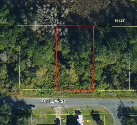 Fig Leaf Street, Saint Cloud, FL 34769 photo 2