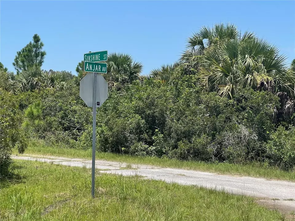  tbd Palm, Bay, FL 32908 photo 12