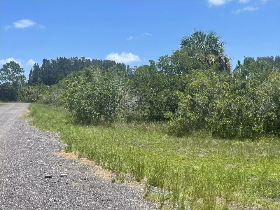  tbd Palm, Bay, FL 32908 photo 6