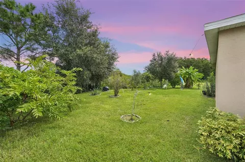 Exterior - 4569 Baler Trails Dr, Saint Cloud, FL 34772 photo 7 of 10