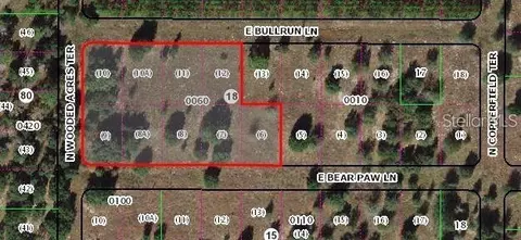 2011 E Bear Paw Ln, Inverness, FL 34453