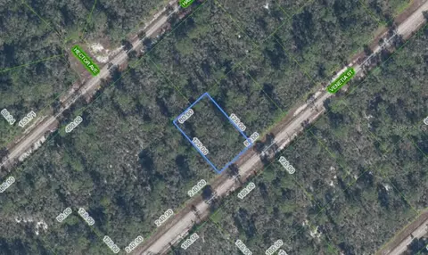 3535 Venetia St, Lake Placid, FL 33852