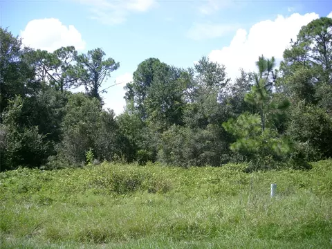 1343 Congo Ct, Kissimmee, FL 34759